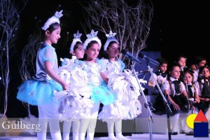DSC_0100-300x200